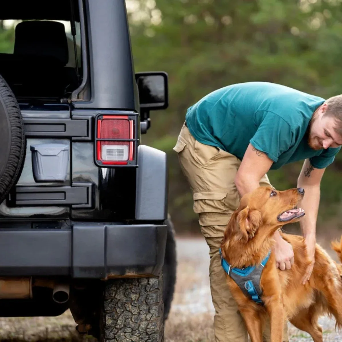 Kurgo Dog Tailgate Dumpster - Image 2