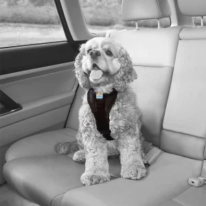 Kurgo Dog Tru Fit Dog Harness Quick Release Black X-Large