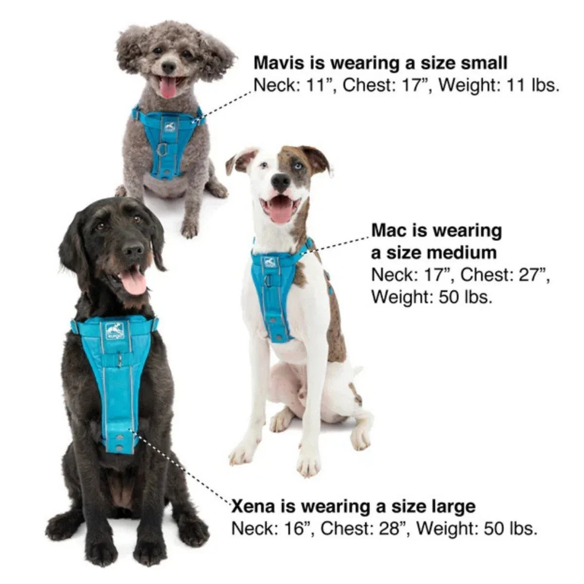 Kurgo Dog Tru Fit Smart Dog Harness Black Medium - Image 2
