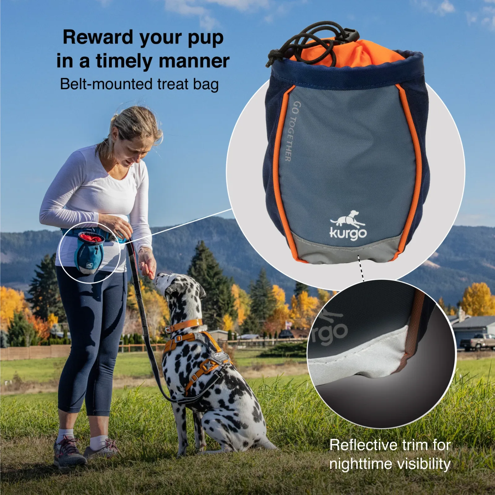 Kurgo Go Stuff It Dog Treat Bag - Blue - Image 2