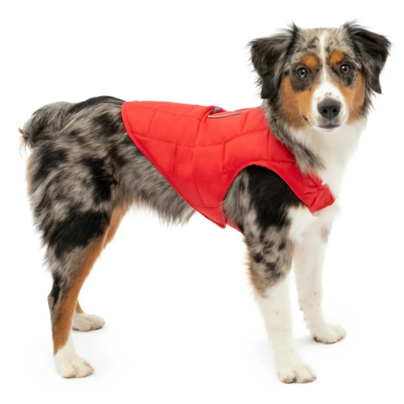 Kurgo Loft Dog Jacket - Red, Medium - Image 2