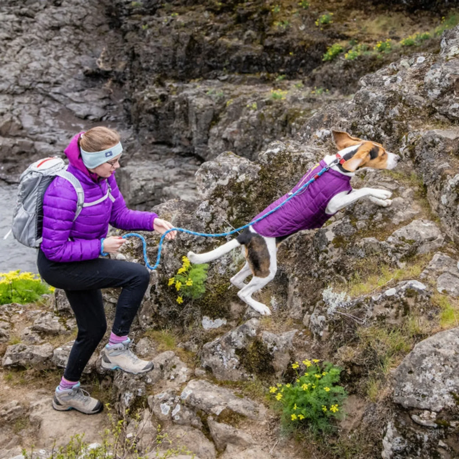 Kurgo Loft Dog Jacket - Violet, Small - Image 2