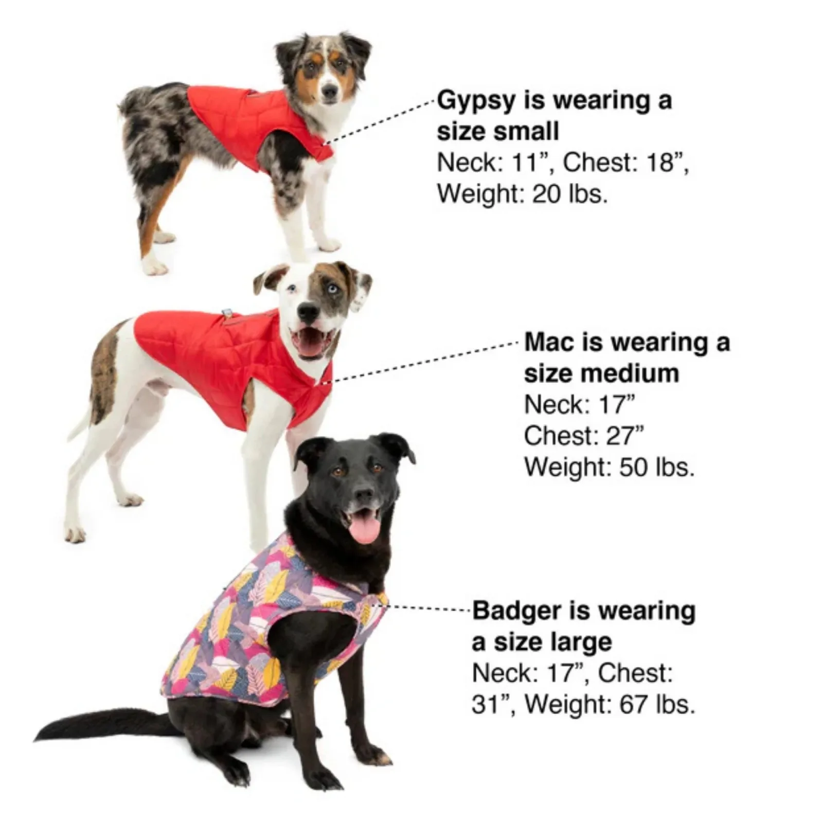 Kurgo Loft Dog Jacket - Violet, X-Large - Image 2