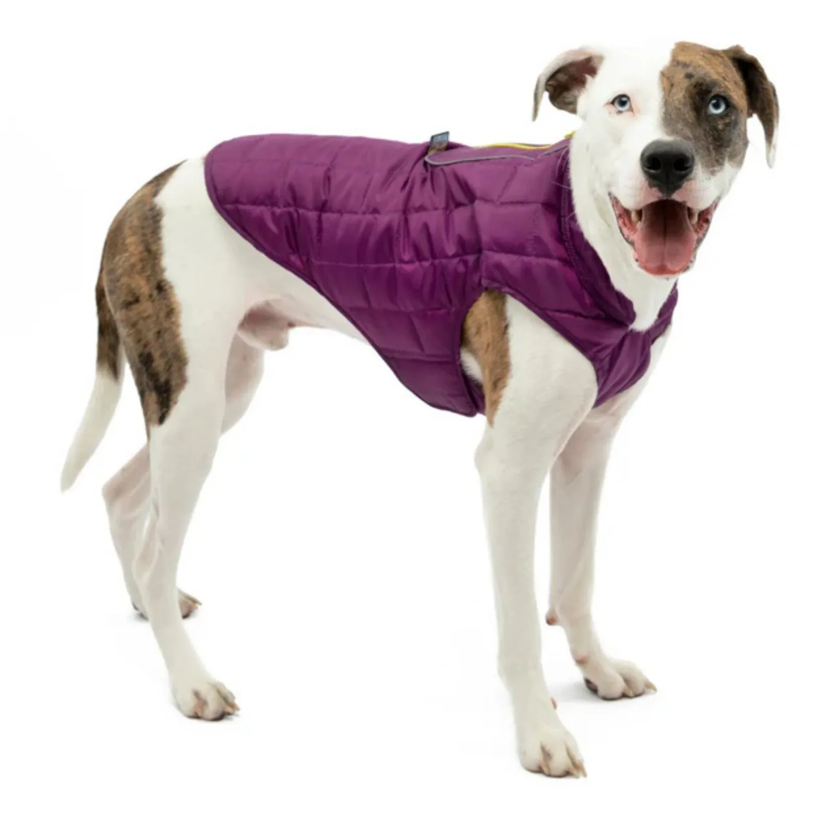 Kurgo Loft Dog Jacket - Violet, X-Small - Image 2