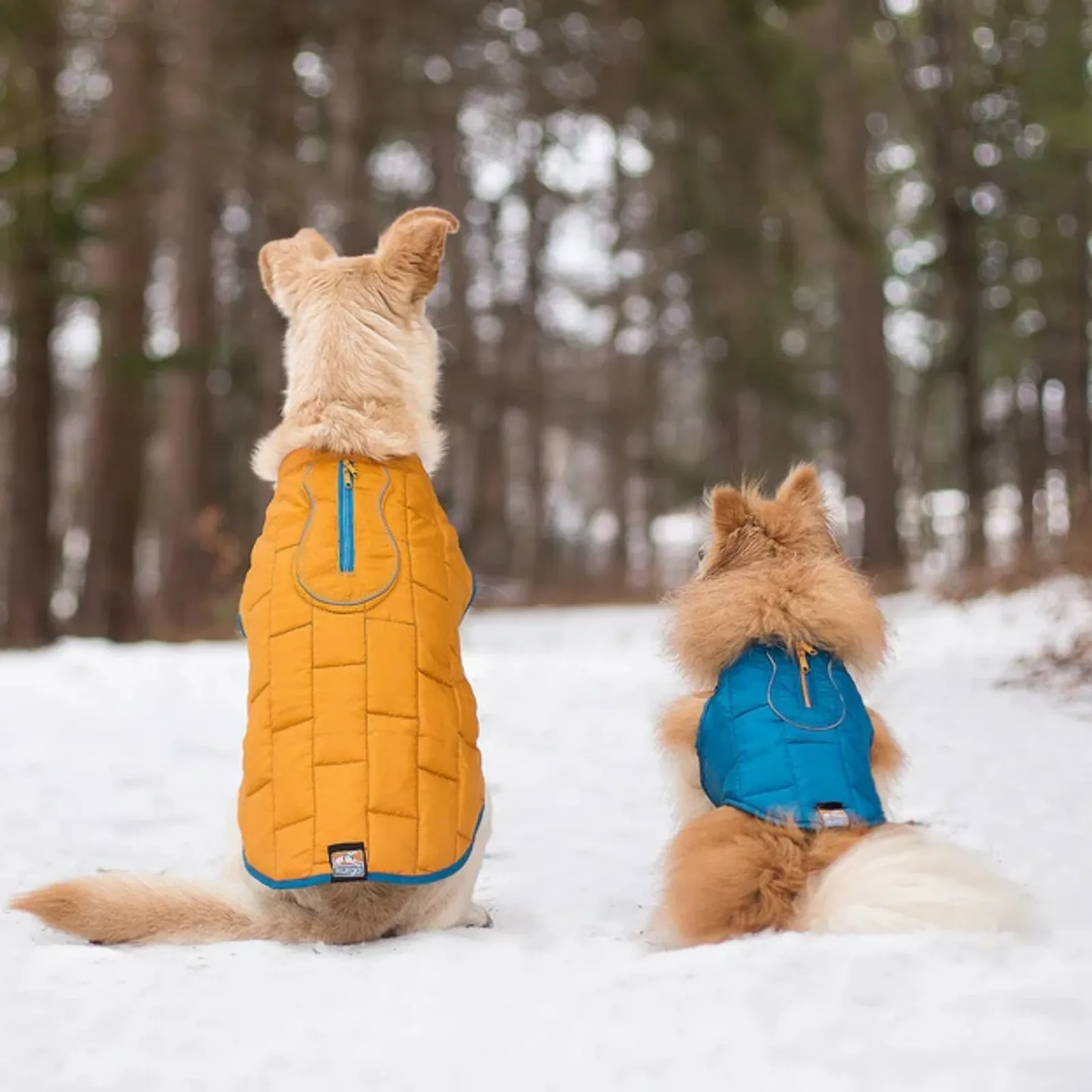 Kurgo Loft Reversible Dog Jacket - Blue/Orange, Small - Image 2