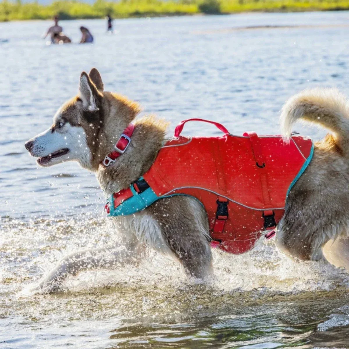 Kurgo Surf 'n Turf Dog Life Jacket - Red, Large - Image 2