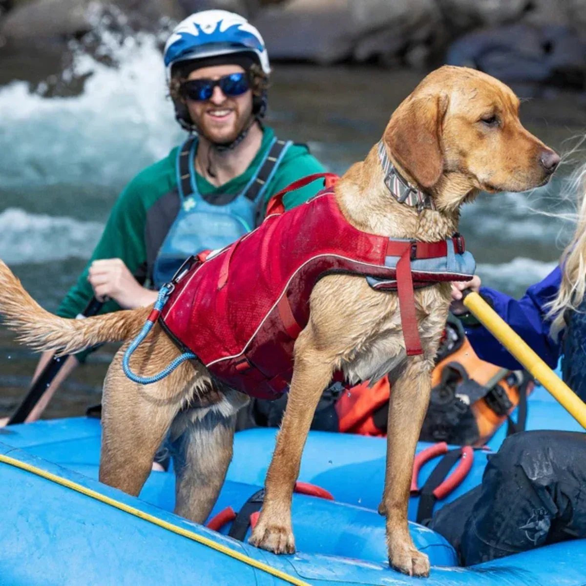 Kurgo Surf 'n Turf Dog Life Jacket - Red, X-Small - Image 2