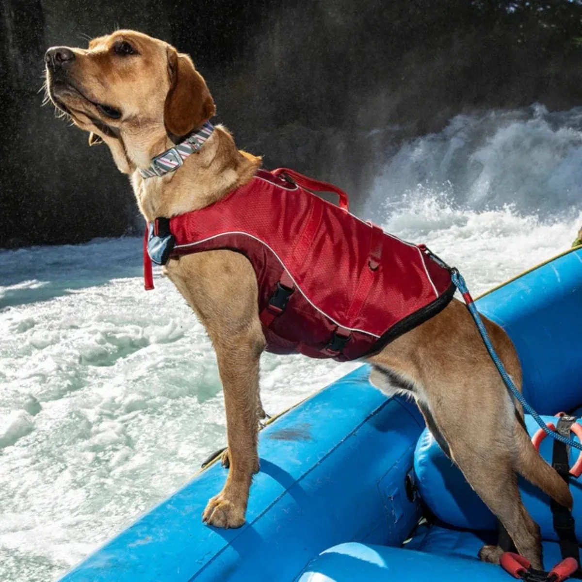 Kurgo Surf 'n Turf Dog Life Jacket - Yellow, Small - Image 2