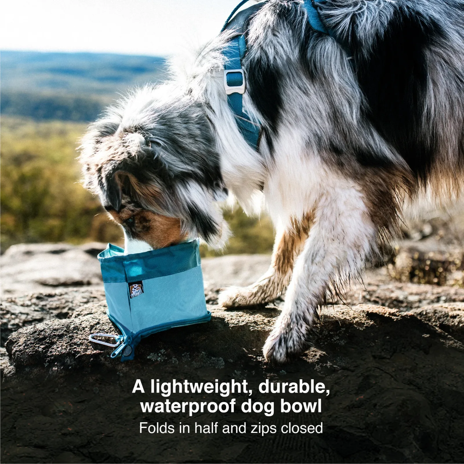 Kurgo Zippy Bowl for Dogs - Blue - Image 2