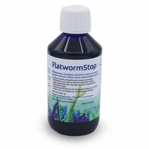 KZ Flatworm Stop (250 ml) - Korallen-zucht