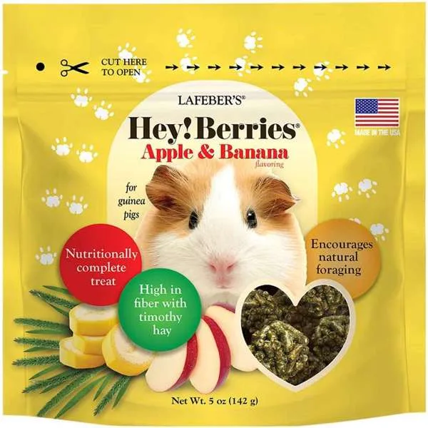 Lafeber Company Hey! Berries Guinea Pig Food Apple & Banana 5 oz