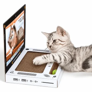 Laptop Cat Scratcher with Mouse Toy & 2 Bell Balls