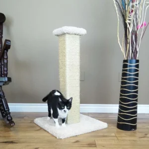 Large Cat Scratching Post