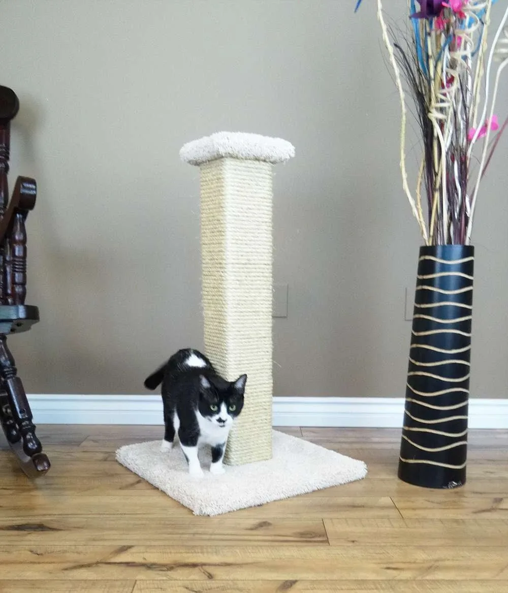 Large Cat Scratching Post