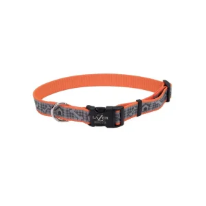 Lazer Brite Reflective Adjustable Dog Collar Orange, 3/8 in x 8-12 in