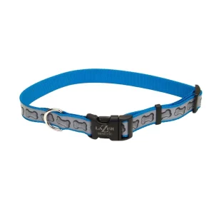Lazer Brite Reflective Adjustable Dog Collar Turquoise, 3/8 in x 8-12 in