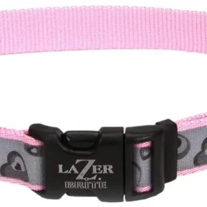Lazer Brite Reflective Adjustable Dog Collar Turquoise, 5/8 in x 12-18 in