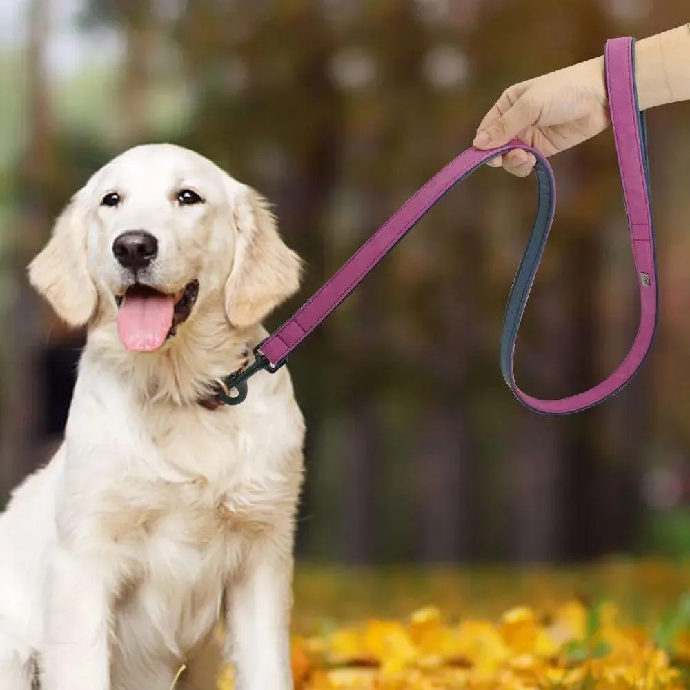Leather Collar Leash - Image 2