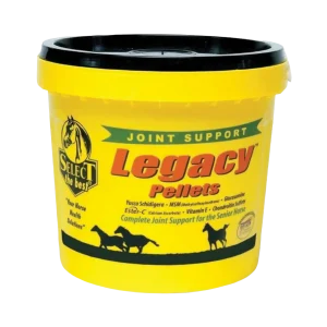 Legacy Joint Support for Senior Horses