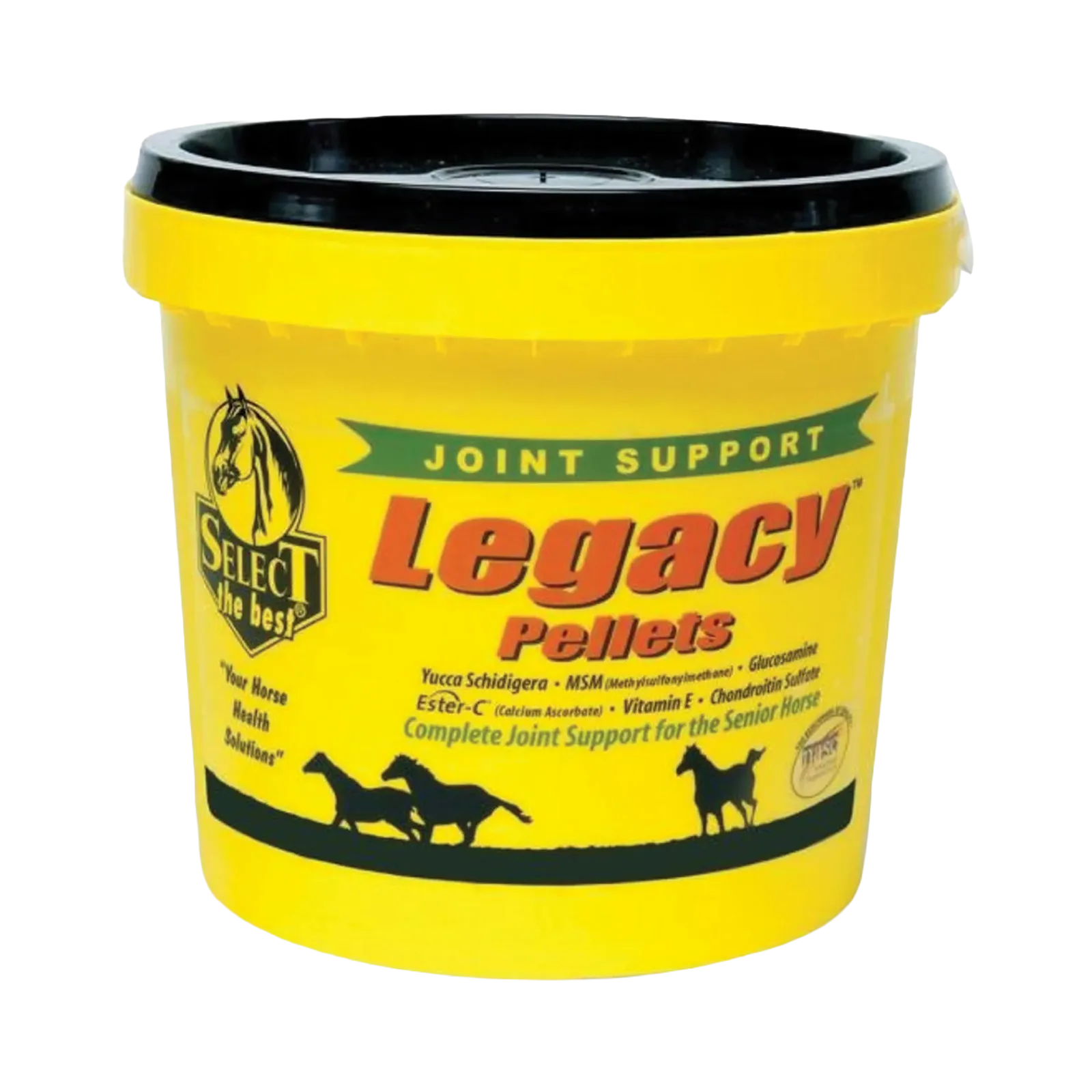 Legacy Joint Support for Senior Horses
