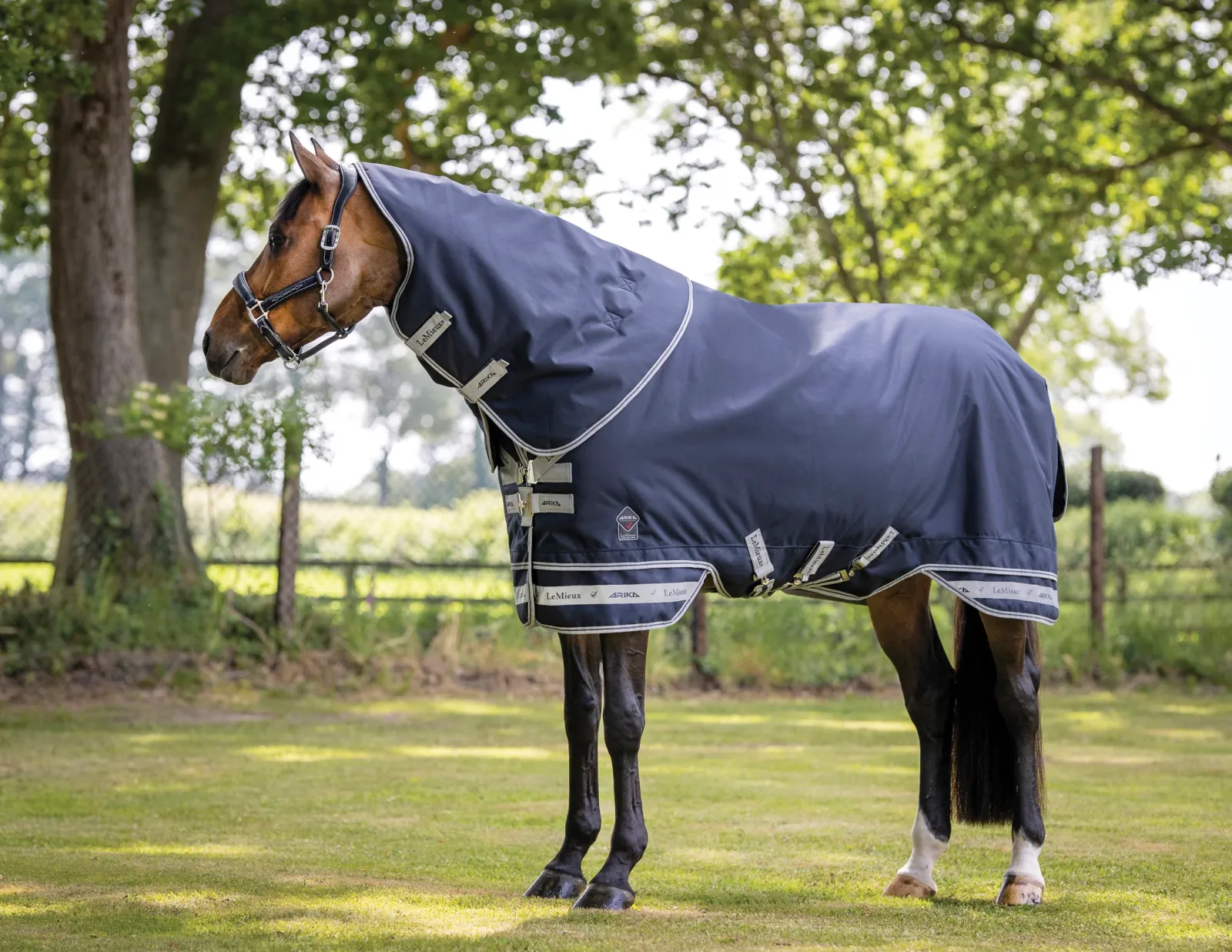 LeMieux® Arika Storm-Tek 100 Gram Turnout Blanket - Image 2