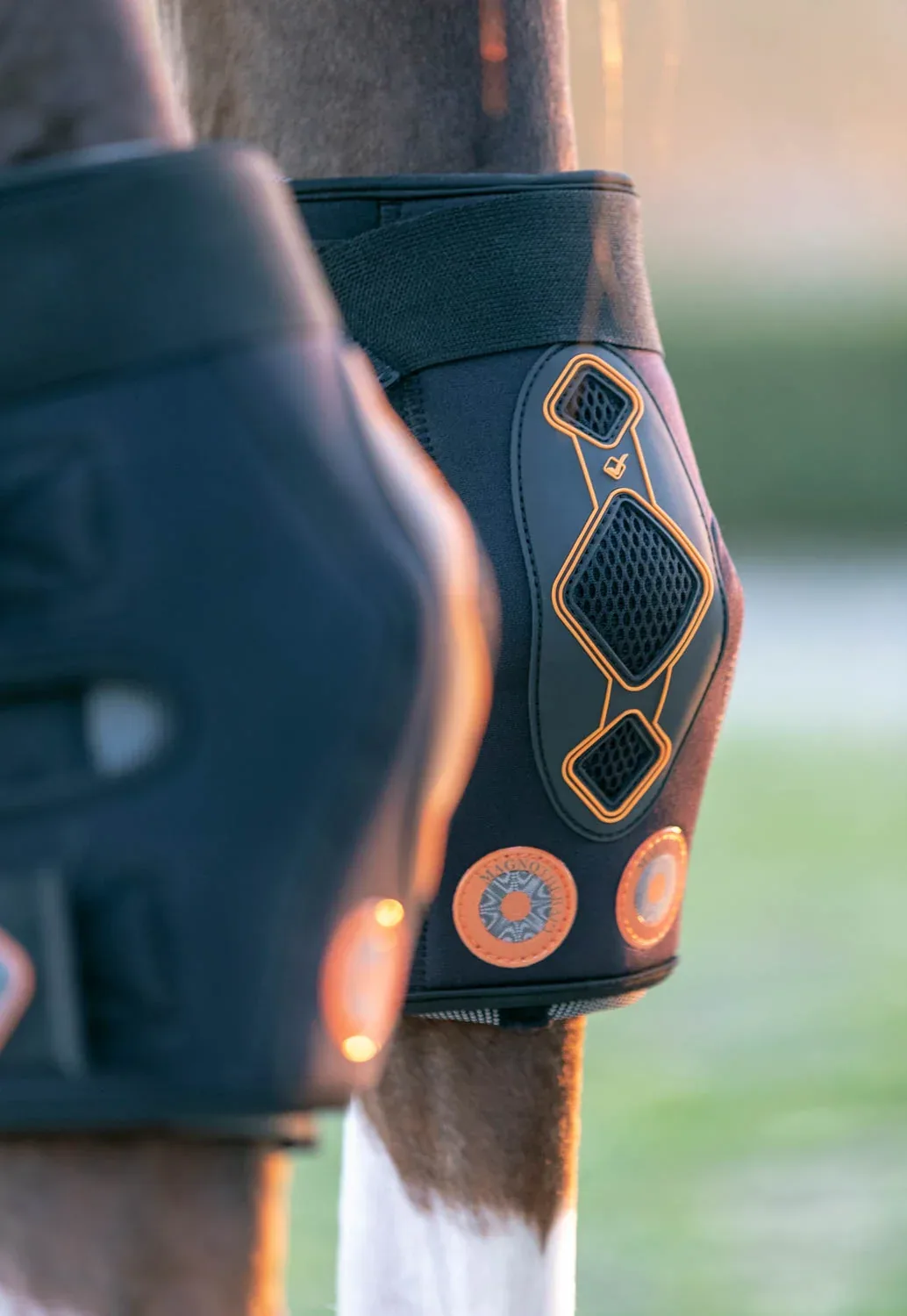 LeMieux® Conductive Magnotherapy Hock Boots - Image 2