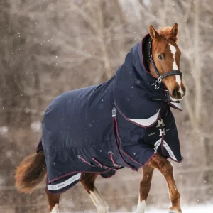 LeMieux® Kudos 350 Gram Turnout Blanket