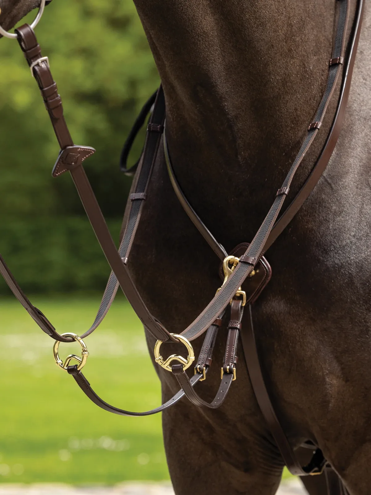 LeMieux® Kudos Running Martingale