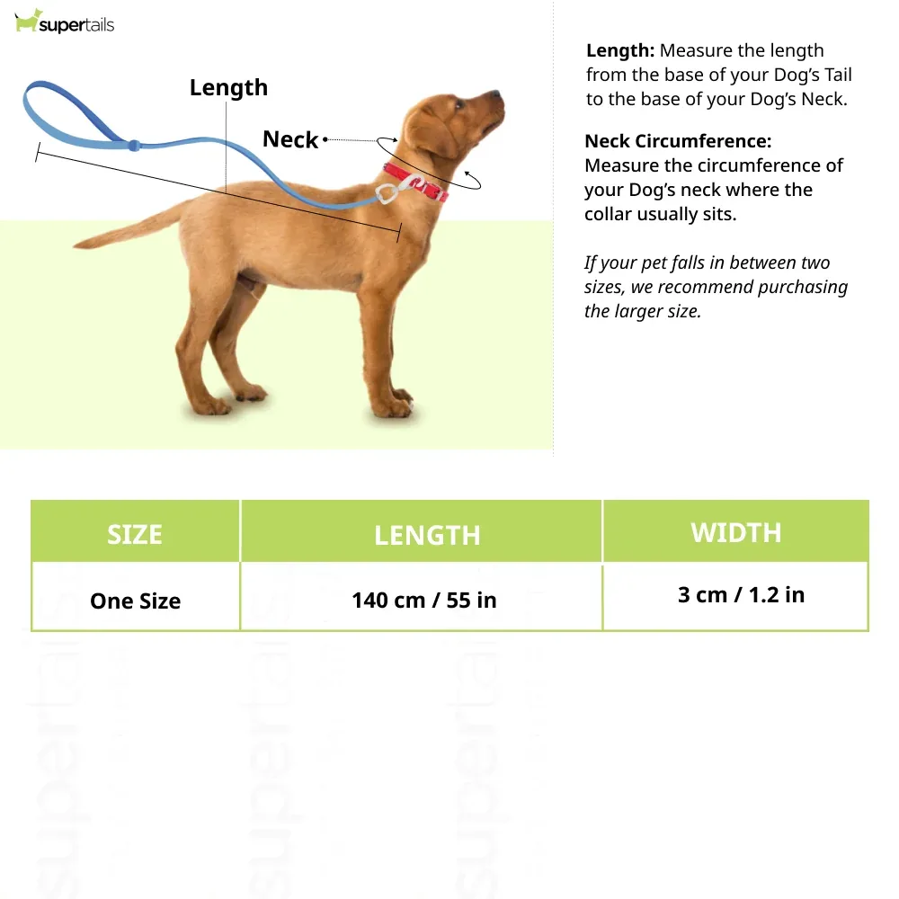 Let's Wag Double Handle Fabric Leash for Dogs (Cobalt Blue) - Image 2