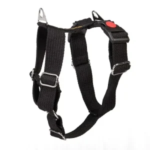 Let's Wag H Harness for Dogs (Black)