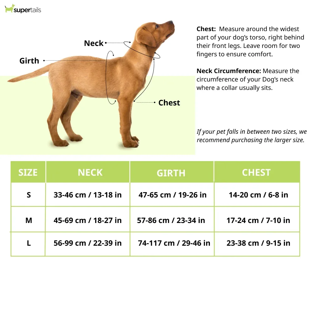 Let's Wag H Harness for Dogs (Red) - Image 2
