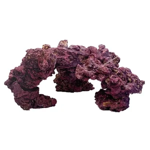 LifeRock Plateau Rock 18" - Caribsea