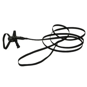 Li'l Pals® Adjustable Kitten Harness and 6' Leash Combo, Black