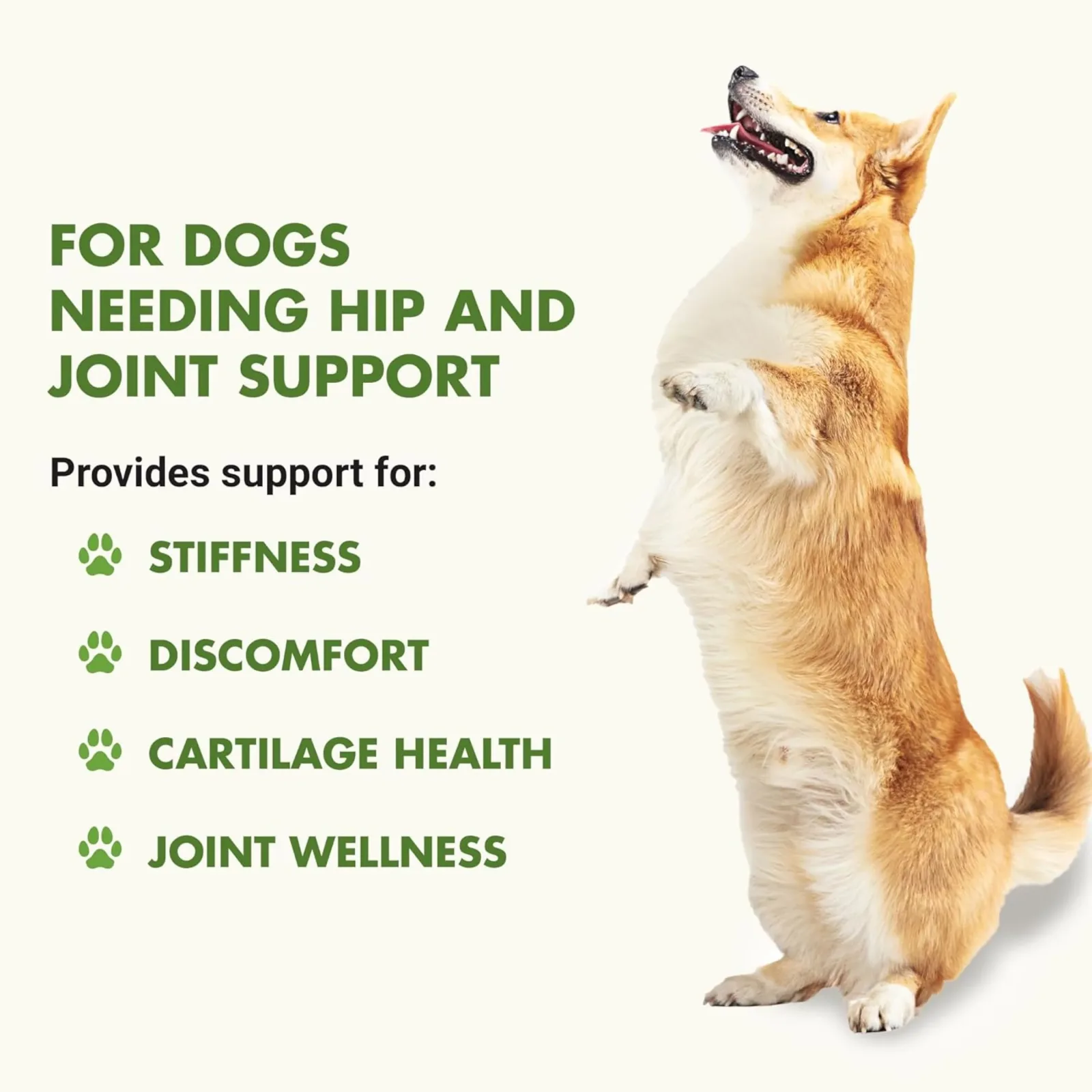 Liquid-Vet Hip and Joint Formula for Dogs, Pot Roast Flavor, 32 oz. - Image 2