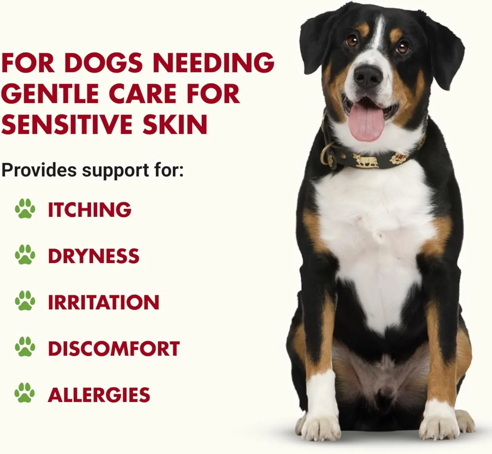 Liquid-Vet Itch and Allergy Formula for Dogs, Pot Roast Flavor, 32 oz. - Image 2