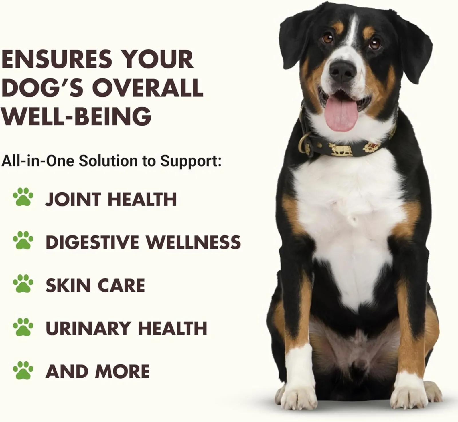 Liquid-Vet Total and Complete Multi-Functional Formula for Dogs Pot Roast Flavor, 32 oz. - Image 2