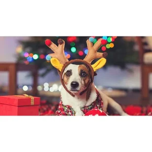 l'll CU During the Holidays