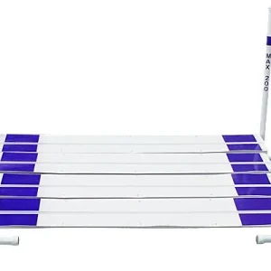 Long Jump with Marker Poles