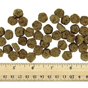 Lotus Soft Baked Dog Treats