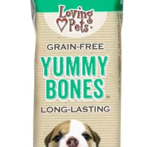 Loving Pets Yummy Bone Flavor Filled Dog Treat Mint, 2.8 oz each, Case of 15