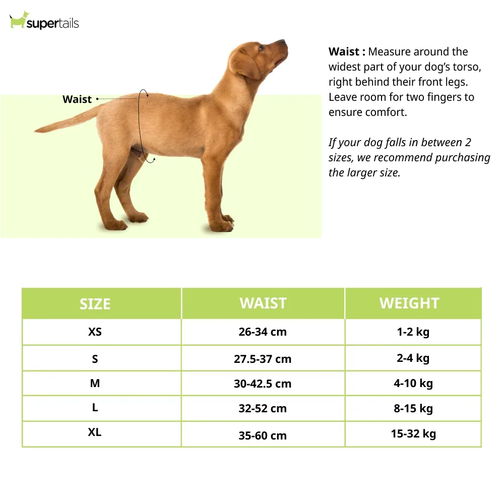 M Pets Diapers for Female Dogs (32x52cm) - Image 2