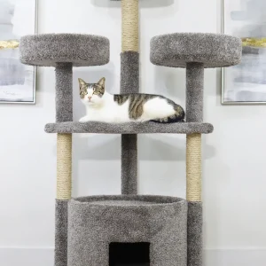 Maine Coon Cat House Cat Tree