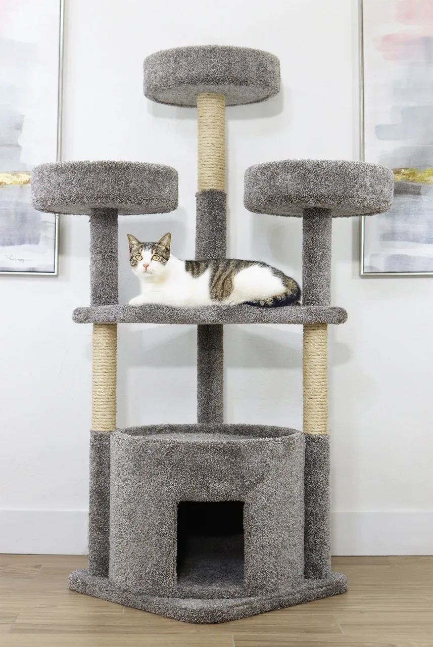 Maine Coon Cat House Cat Tree
