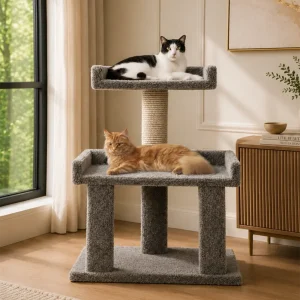 Maine Coon Cat Perch – Extra Wide Solid Wood Cat Stand for Large & Multi-Cat Homes