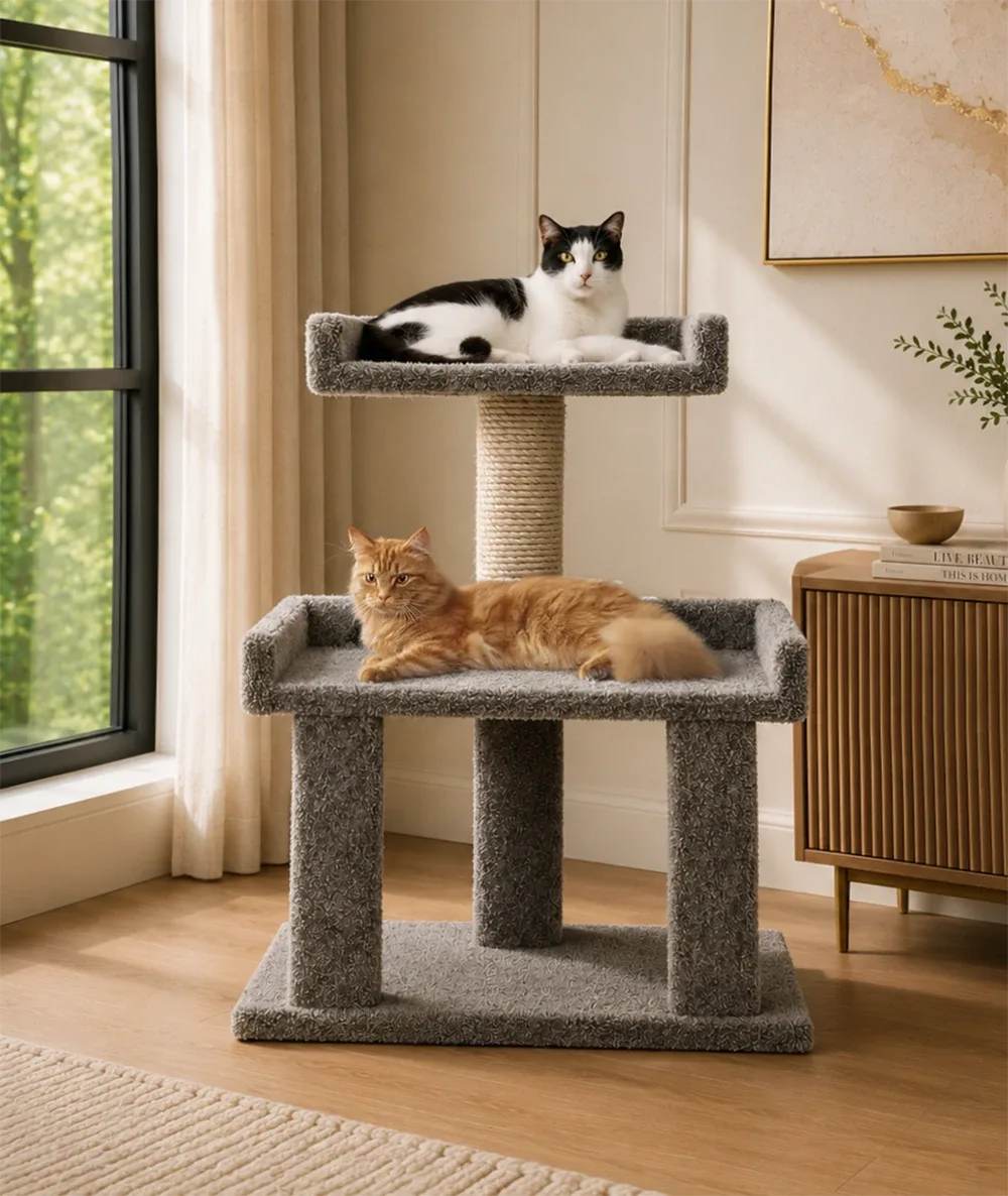 Maine Coon Cat Perch – Extra Wide Solid Wood Cat Stand for Large & Multi-Cat Homes