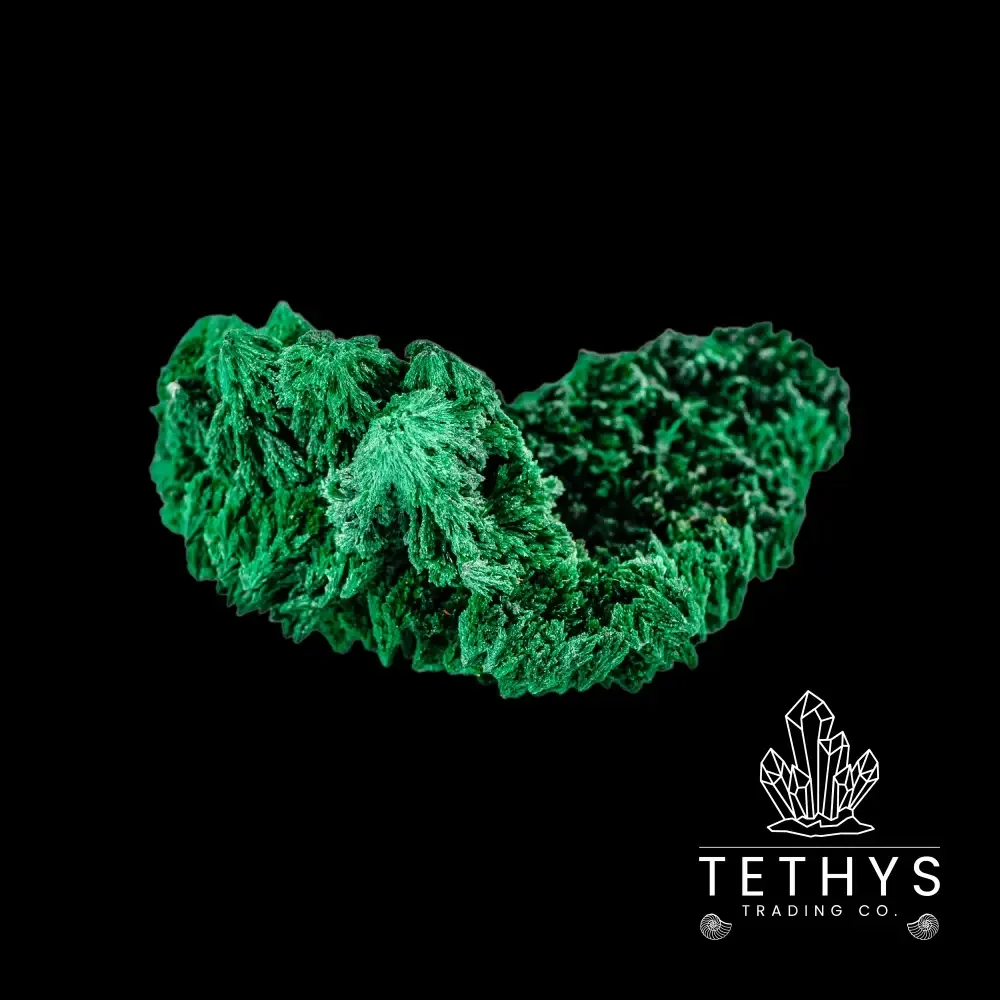 Malachite Fibrous sml - Image 2
