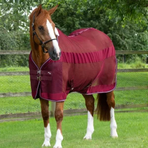 MARKED - Arisca Scrim Cooler Burgundy