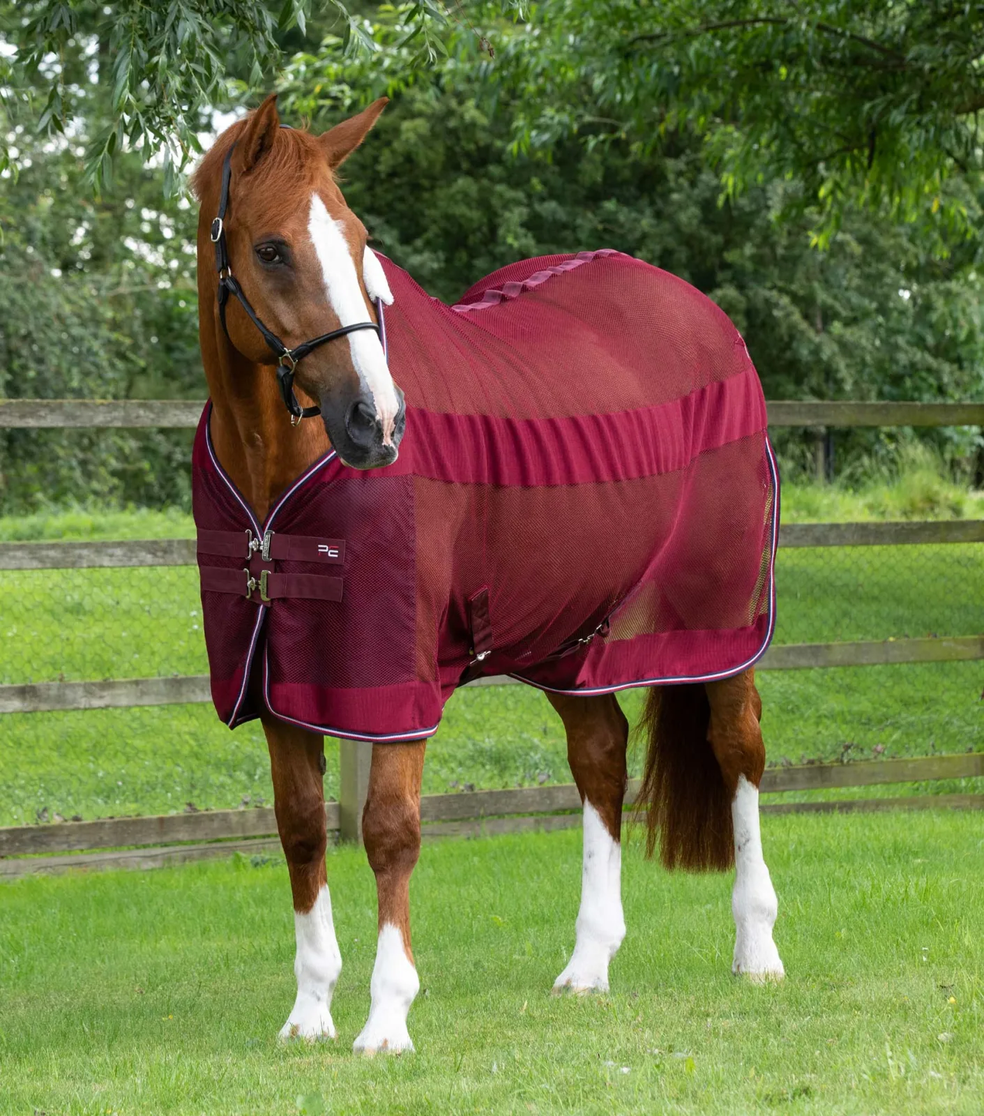 MARKED - Arisca Scrim Cooler Burgundy