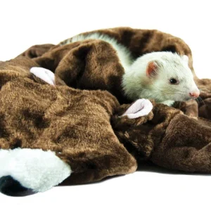 Marshall Bear Rug for Small Animals Brown