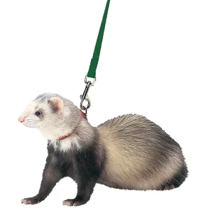 Marshall Ferret Harness and Lead Set Black